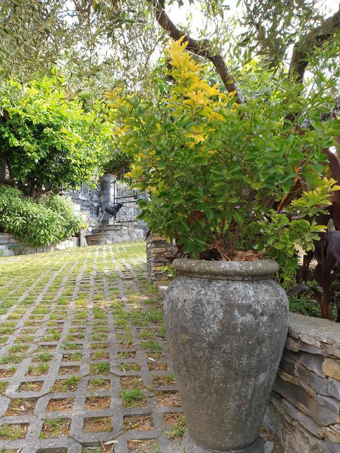 B&B Collina E Mare Camogli Εξωτερικό φωτογραφία