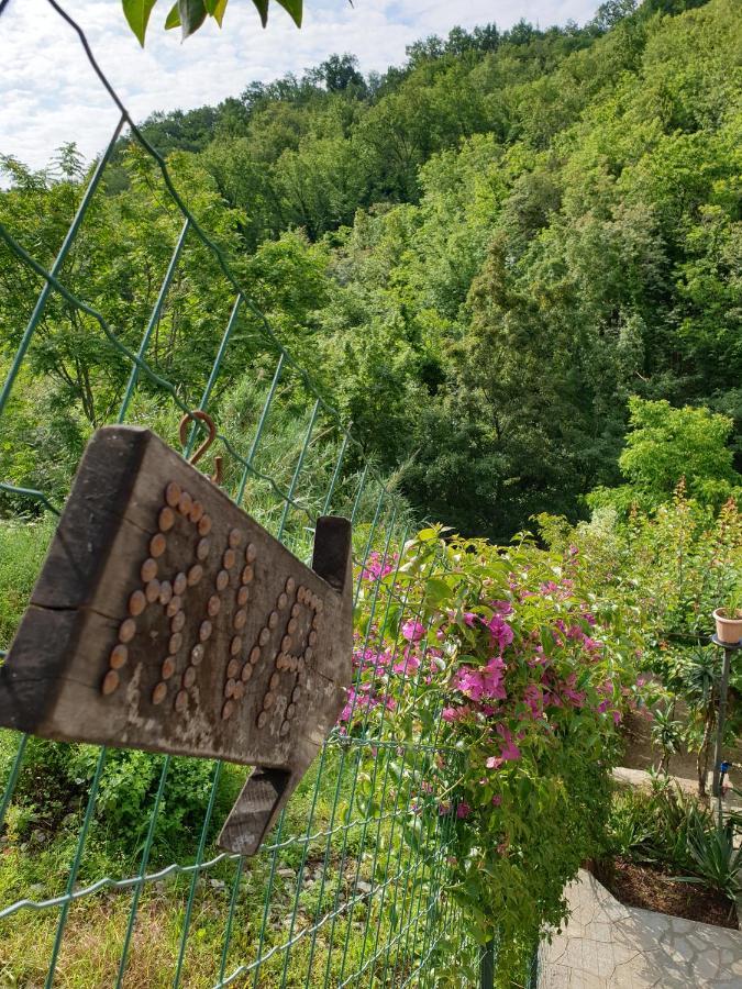 B&B Collina E Mare Camogli Εξωτερικό φωτογραφία