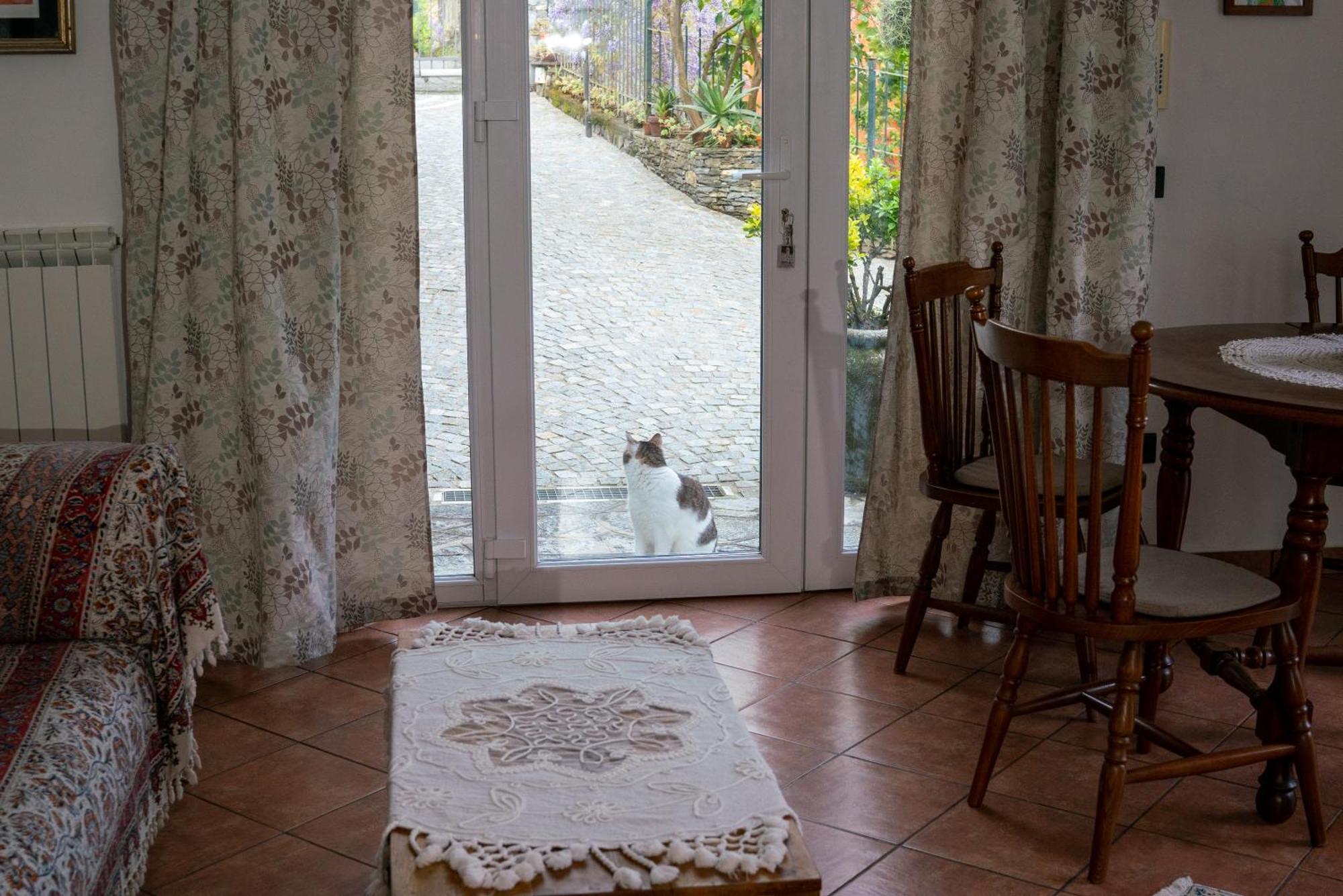 B&B Collina E Mare Camogli Εξωτερικό φωτογραφία