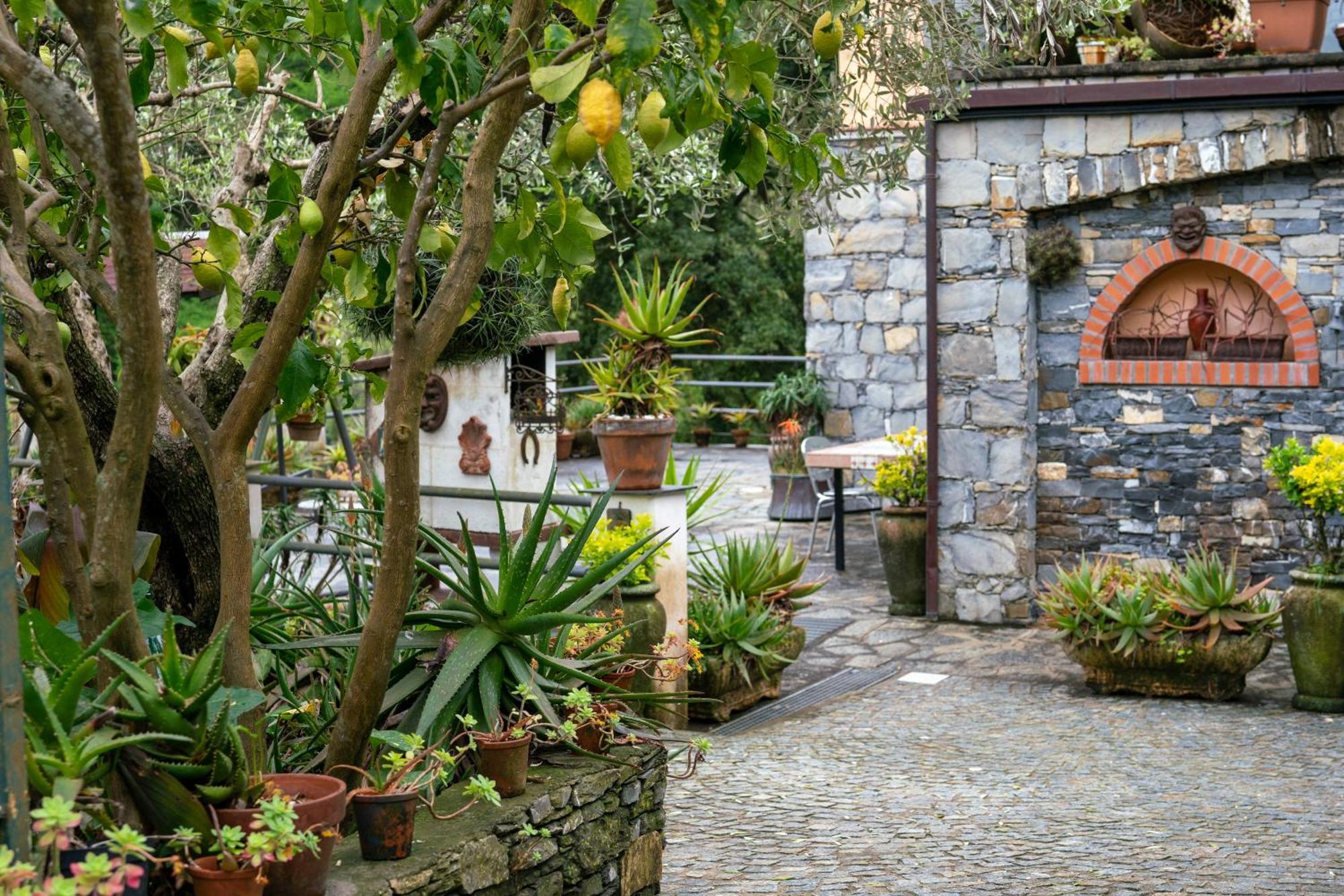B&B Collina E Mare Camogli Εξωτερικό φωτογραφία