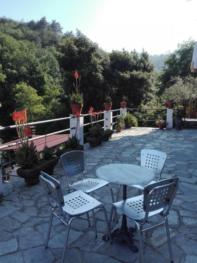 B&B Collina E Mare Camogli Εξωτερικό φωτογραφία