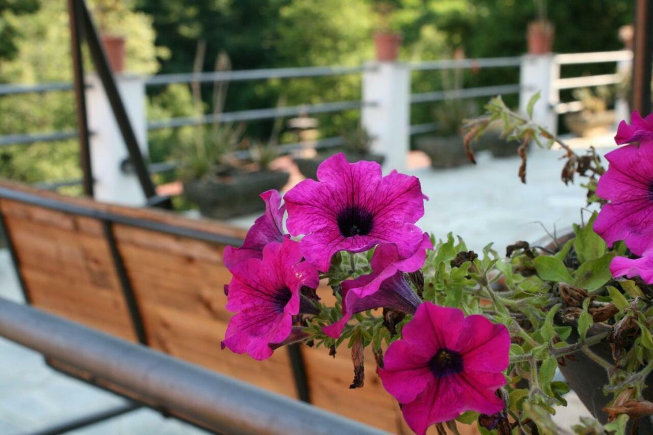 B&B Collina E Mare Camogli Εξωτερικό φωτογραφία