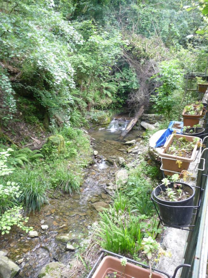 B&B Collina E Mare Camogli Εξωτερικό φωτογραφία